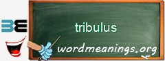 WordMeaning blackboard for tribulus